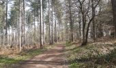 Randonnée Marche Esneux - parc du mary . targnon . retour  - Photo 2