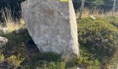 Trail Walking Saint-Pierre-la-Bourlhonne - Col du Beal  - Photo 8
