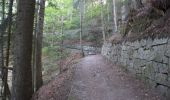 Trail Walking Cauterets - Plateau du Lisey - Photo 16