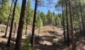 Trail Walking Tejeda - Pico de las Nieves (Gran Canaria) - Photo 20