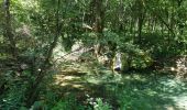 Excursión Senderismo Termes - Termes ( Aude )  + les gorges de Terminet +le Nitable roc - Photo 15