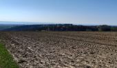 Tour Wandern Havelange - Gros-Chêne  Méan  Maffe - Photo 2