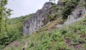 Tour Wandern Ferrières - herbet ac 2 - Photo 3