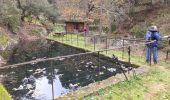 Excursión Senderismo Planzolles - moulin de Marceau planzolles - Photo 1