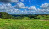 Trail Walking Bouillon - 2024-09-15_08h33m03_Les Hayons Bouillon - Photo 12