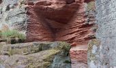 Tour Wandern Windstein - Windstein - Photo 3