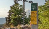 Tour Wandern Autrans-Méaudre en Vercors - Le Gros Martel par le trou de L'enfer - Photo 10