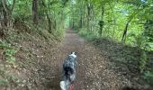 Trail Walking Claix - Colline de Comboire - Photo 2