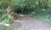 Randonnée Marche Les Martres-de-Veyre - PUY DE CORENT - Photo 8
