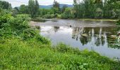 Tocht Wegfiets Calviac-en-Périgord - VALLÉE DE LA DORDOGNE- PARCOURS OUEST DEPUIS CALVIAC EN PÉRIGORD  - Photo 15