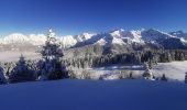 Tocht Sneeuwschoenen Crêts-en-Belledonne - randonnée raquette le Grand Rocher. le Crêt du Poulet  - Photo 4