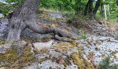 Trail Walking Spa - roche plate . pavillon Hesse . thermes . parc des 7 heures - Photo 16