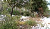 Excursión Senderismo Châteaudouble - le gros roucas  - Photo 2
