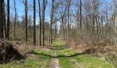 Trail Walking Compiègne - en forêt de Compiègne_48_sur les Routes de la Mariolle et du Grand Veneur - Photo 17