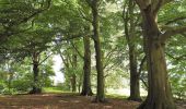 Excursión A pie Bloemendaal - Vinkenduin en Oud Woestduin - Photo 2