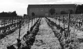 Tocht Stappen Palavas-les-Flots - Palavas-les-flots à Cathédrale St Pierre Maguelone et retour - Photo 2