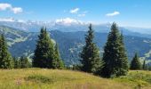 Tour Wandern Les Gets - MONT CALY MONT CHERY LES GETS 8 JUILLET 2022 - Photo 4