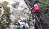 Tocht Stappen La Sure en Chartreuse -  Gorges de la Roize Voreppe - Photo 14