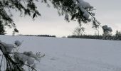 Trail Walking Fauvillers - Sur les traces des chevaliers maudits de Bodange  - Photo 3