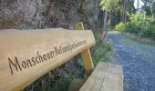 Randonnée A pied Montjoie - Monschauer Nationalpark-Wanderweg 