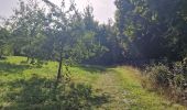 Tour Wandern Heers - Wikiloc Hornebos  (PVDB) - Photo 2