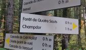 Trail Walking Haut Valromey - Le Jorat  - Brénod  - Photo 5