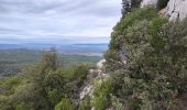 Trail Walking Peyrolles-en-Provence - peyrolles - Photo 1