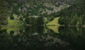 Tour Wandern Sulzern - lac vert, lac du forlet - Photo 8