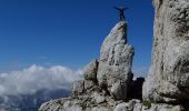 Percorso A piedi Tarvisio - Sentiero Anita Goitan - Photo 1