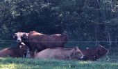 Tour Wandern Saint-Jean-de-Chevelu - Les lacs de chevelu - Photo 5