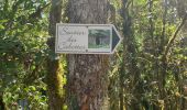 Trail Walking Auxey-Duresses - Camp des Celtes et sentier des Cabottes - Photo 7