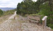 Tour Wandern Villeneuve-de-Berg - la forêt des sens Villeneuve de Berg  - Photo 5