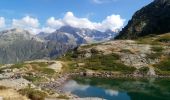 Randonnée Marche La Chapelle-en-Valgaudémar - Lacs de Pétarel - Photo 6