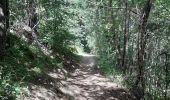 Trail Walking La Cabanasse - Mois pontpedrouse après montée en train jaune  - Photo 4