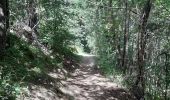 Tocht Stappen La Cabanasse - Mois pontpedrouse après montée en train jaune  - Photo 4