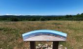 Randonnée Marche nordique Labastide-en-Val - Chemin des panoramas - Photo 1