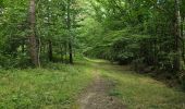 Trail Walking La Chapelle-Enchérie - La Chapelle-Enchérie - Bois de Bricsard - Photo 18