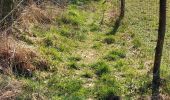 Percorso Marcia Ciney - Achene 110322 - Photo 13