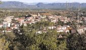 Trail Walking Roquebrune-sur-Argens - Autour de la Maurette (variante) - Photo 8