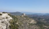 Tocht Stappen Plan-d'Aups-Sainte-Baume - plan d aups - Photo 1