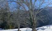 Randonnée Raquettes à neige Bellefontaine - Bellefontaine Chapelle de bois - Photo 4