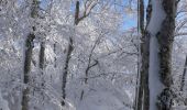 Percorso Racchette da neve Léoncel - Le Grand Echaillon - Les Crêtes de la Sausse - Photo 18