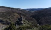 Tour Wandern Mont Lozère et Goulet - St Julien du Tournel - Photo 2