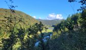 Trail Walking Bouillon - rando rochehaut 5-10-2024 - Photo 15