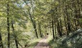 Tocht Stappen Goumois - Circuit du barrage de la Goule - Photo 13