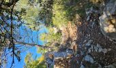 Tocht Stappen Le Castellet - Les Barres du plan de Castellet - Photo 5