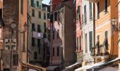 Tour Zu Fuß Vernazza - Vernazza – Mad. di Reggio – F.ce di Drignana - Photo 10
