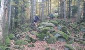 Excursión Bici de montaña Celles-sur-Plaine - VTT Celles sur Plaine avec Luca et Fab - Photo 1