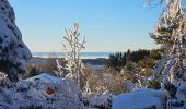 Trail Cross-country skiing Thélis-la-Combe - ski alternatif - Photo 2