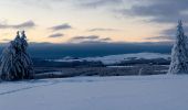 Trail On foot Ehrenberg - Extratour Rotes Moor - Photo 1